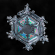 Image for article titled A photographer’s scientific approach to shooting snowflakes reveals stunning geometric variety